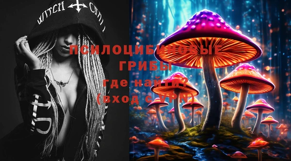 кокс Балабаново