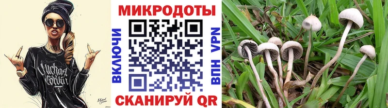 Псилоцибиновые грибы Magic Shrooms hydra как войти Кировск дарнет шоп